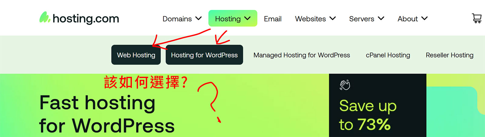 Hosting.com 的 Web Hosting 與 Hosting for WordPress 方案選項